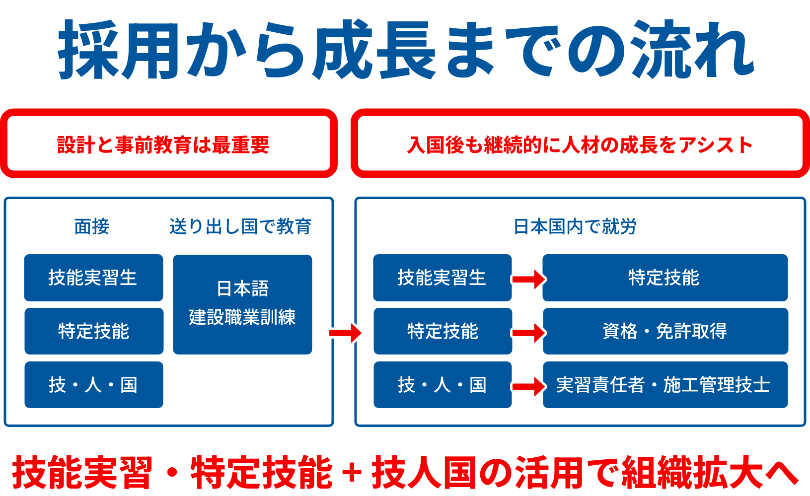 採用から成長までの流れ 採用から成長までの流れ